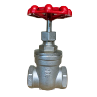 AF-GTE Gate Valve