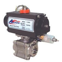 Pneumatic Actuator